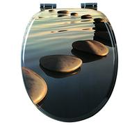 WOLTU Tapa de WC Tapa de Inodoro Asiento de Inodoro Bisagra de Cierre Suave Instalar Rápida