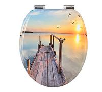 WOLTU Tapa de WC Tapa de Inodoro Asiento de Inodoro Bisagra de Cierre Suave Instalar Rápida