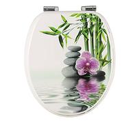 WOLTU Tapa de WC Tapa de Inodoro Asiento de Inodoro Bisagra de Cierre Suave Instalar Rápida