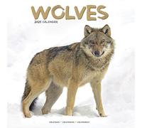 Wolves Calendar 2025 Square Animal Wall Calendar - 16 Month