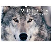 Wolves ¿ Faces of social hunters (Wall Calendar 2026 DIN A3 landscape), CALVENDO 12 Month Wall Calendar: Fascinating creatures between truth and fairy tales