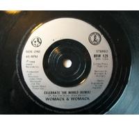 Womack & Womack - WOMACK AND WOMACK - CELEBRATE THE WORLD - 7" VINYL / 45