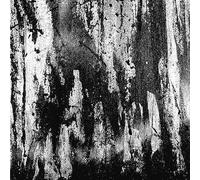 Wombripper - From the Depths of Flesh