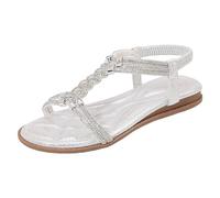 Women Clip Toe Sandals Crystal Jelly Beach Flip Flops Female Students Korean Fashion Wear Summer Flat Sandals (Silver, 38)