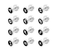 Women Men Pendientes de Acero de Titanio, Pendientes de sementales Silver Black 12pcs 12 Constelaciones Pendientes de Mujeres Mujeres