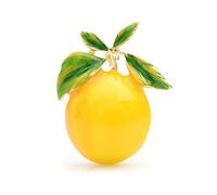 Women Pins Accessories Enamel Yellow Lemon Ladies Alloy Orange Party Cardigan Jacket Coat Brooch Fashion brooches Made in China