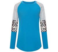 Women's Crew Neck Long Sleeve Leopard Print Color Block Casual Loose T-Shirt Tops Blouse (Sky Blue,Large)