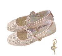 Women's Embroidery Lace Mesh Ballet Flats, Ballet Flats for Women with Strap, Pink Elegant Comfortable Party(Pink,EU35)