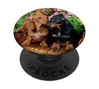 Womens Girls 2 Doxies Black & Tan and Red Dachshund Lover PopSockets PopGrip Adhesivo