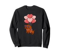 Womens Girls Valentines Day Heart Balloons Mini Dachshund Sudadera
