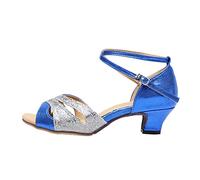 Women's Glitter Latin Ballroom Dance Shoes Open Toe Low Heels Practice Dress Dancing Shoes for Tango Irish Salsa Samba Waltz Social Dancing Sandals