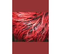 Women's Wellness Journey: Women's Journey to Health and Happiness