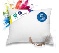 wometo - Almohada de Plumas, 100% Plumas, 40 x 50 cm, 450 g, oekoTex y Almohada de Relleno de algodón, Color Blanco
