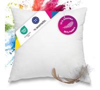 wometo Premium-line OekoTex - Almohada de plumas y plumón (85% plumas, 15% plumón, 40 x 40 cm, con relleno de 300 g, funda de algodón, color blanco)