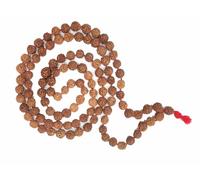 Wonder Care Wc Auténtico collar de 5 caras de Rudraksh Mala con semillas naturales de Rudraksha (12 mm x 2 unidades) 73.6 cm/29 pulgadas
