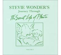 Wonder, Stevie - Journey Through the Secret Lif