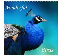 Wonderful Birds (Wall Calendar 2026 12" x 24" / 30 x 60 cm (abierto)) CALVENDO 12 Month Wall Calendar