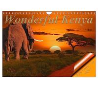 Wonderful Kenya (Wall Calendar 2026 DIN A4 landscape), CALVENDO 12 Month Wall Calendar: A safari in Kenya is an experience that you will never forget.
