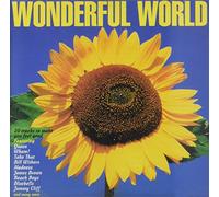 Wonderful World - Various Artists