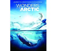 Wonders Of The Arctic – DVD – 2021 – NTSC