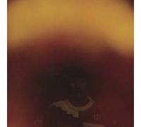 Wong, Dustin - Meditation of Ecstatic..