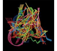 Wong, Dustin - Perpetual Morphosis