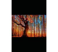 Wood Chips in my Back