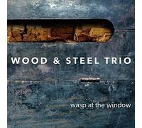 Wood & Steel Trio - Wasp At The Window / Wood & Steel Trio