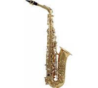Woodbrass WSA100 - Saxofón Alto Mi barnizado - Instrumento Principiante Listo para Jugar, Latón barnizado, Sellos de Cuero con Resonadores Metales, Estuche & Accesorios Incluidos