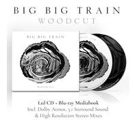 Big Big Train – Woodcut – CD + Blu-ray – Preventa (2026)