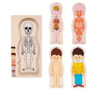 Wooden Human Body Puzzles - Anatomy Building Set, Wooden Organ Learni