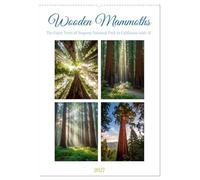 Wooden Mammoths (Wall Calendar 2027 DIN A2 portrait), CALVENDO 12 Month Wall Calendar: Between Heaven and Earth - The Silent Grandeur of the Sequoias, Reimagined with AI