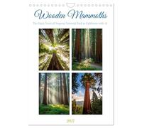 Wooden Mammoths (Wall Calendar 2027 DIN A4 portrait), CALVENDO 12 Month Wall Calendar: Between Heaven and Earth - The Silent Grandeur of the Sequoias, Reimagined with AI