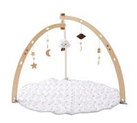 Wooden Play Gym Kids - Child development gym | Sensory Play Arch | Toddler Play Gym with Sensory Toys | Plywood play gym | Frame Activity Center, Natural Gym Frame for Boys and Girls