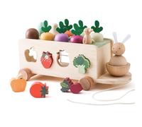 WOODEN TEETHER Montessori Juguete de madera a partir de 1, 2 y 3 años, juego de clasificación, rompecabezas de madera, cosecha de zanahoria, juguete de granja, juguete educativo, regalos para niños y