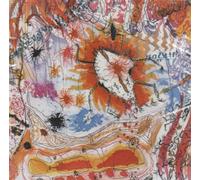 Wooden Wand & the Vanishing Vo - Flood