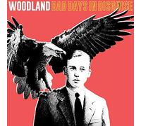 Woodland - Bad Days in Disguise [Vinilo]