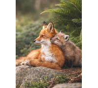 Woodland Fox Journal: Elegant Hardcover Lined Notebook with Mother and Kit Forest Scene, 300 Pages, 8.25 x 11 Inches