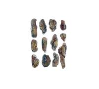 WOODLAND SCENICS C1246 Rock Mold Cr ed Rocks (Importación USA)