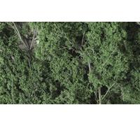 WOODLAND SCENICS F1130 Fine-Leaf Foliage Dark Green WOOU1130 (Importación USA)