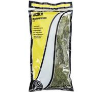 Woodland Scenics Follaje Liquen 1,5 qt-Medium Verde (Importación USA)