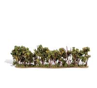 Woodland Scenics TR3581 Classics Tree, Hedge Row 1-2 (1) by Wo (Importación USA)