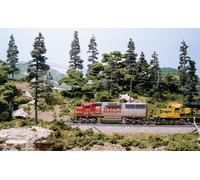 Woodland Scenics Trees Learning Kit (Importación USA)