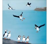 Woodmansterne Tarjeta Felicitacion Cumpleaños, Tarjeta en Blanco para HombresMujeres, Tarjeta General Cumpleaños Amigos Frailecillos, Ecológica y Reciclable