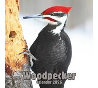 Woodpecker Calendar 2026: 14-Month Organizer from Nov 2025 to Dec 2026 | Perfect for Home, Office, School & Family Scheduling, For Men , Women , Girls , Boys