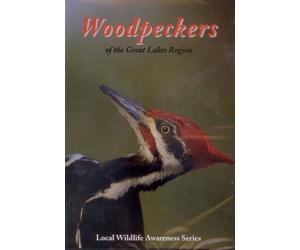Woodpeckers of the Great Lakes Region (Local Wildlife Awareness Series)