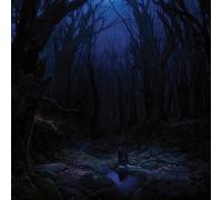 Woods of desolation - Torn beyond reason [Vinilo]