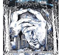 Woods of Ypres Woods 5: Grey Skies & Electric Light (Vinyl) 12" Album
