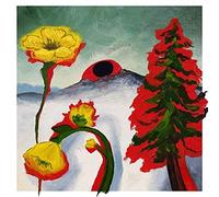 Woods - Strange to Explain