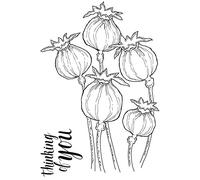 Woodware Jane Gill-Poppy - Sello mágico (10 x 13,5 cm), transparente